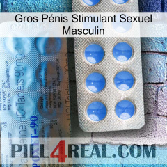 Gros Pénis Stimulant Sexuel Masculin 40